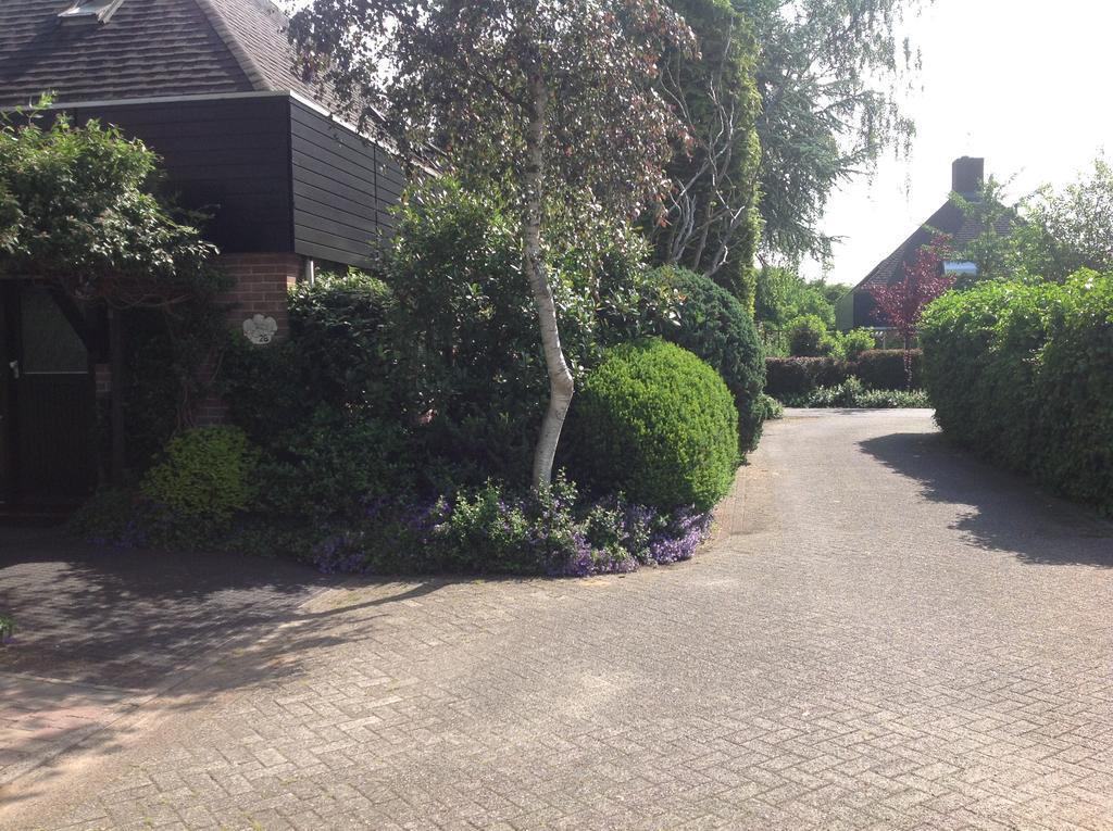 Warnsveld B&B Molenzicht מראה חיצוני תמונה