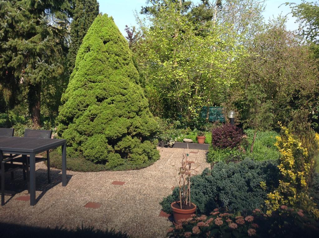 Warnsveld B&B Molenzicht מראה חיצוני תמונה