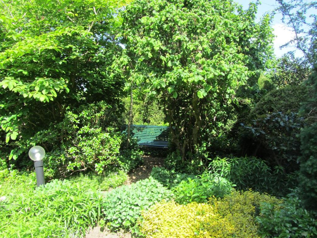 Warnsveld B&B Molenzicht מראה חיצוני תמונה