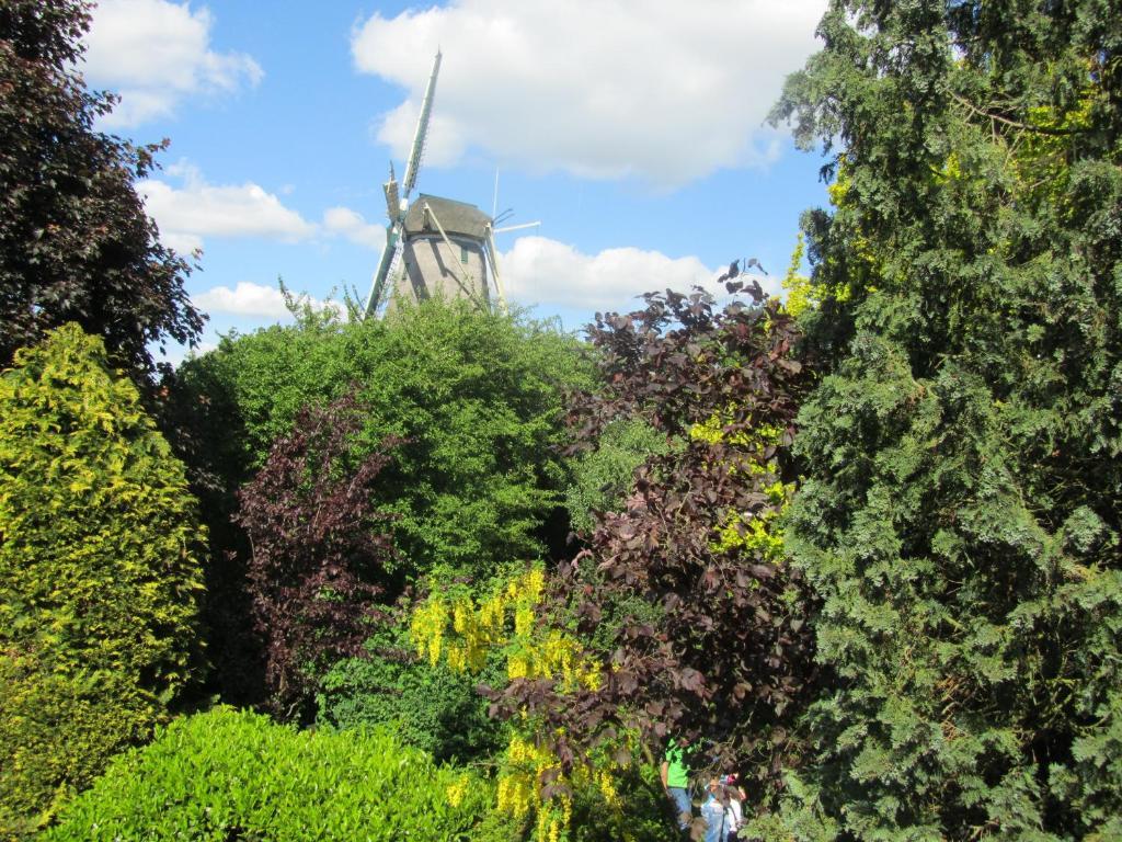 Warnsveld B&B Molenzicht מראה חיצוני תמונה