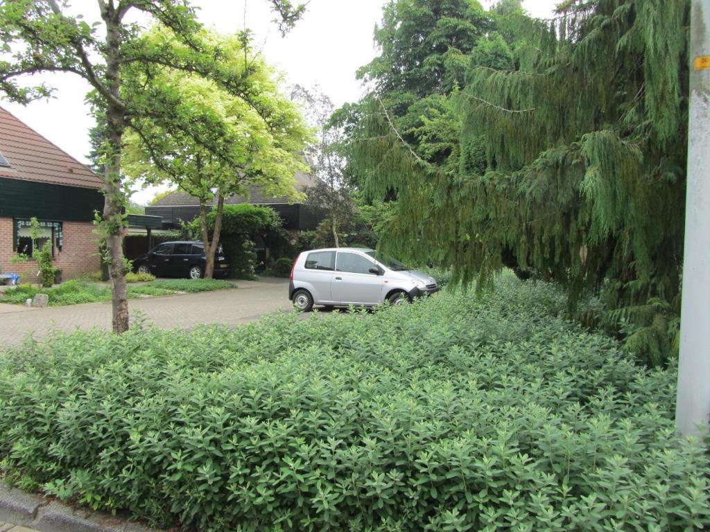 Warnsveld B&B Molenzicht מראה חיצוני תמונה